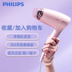 필립스빗헤어드라이기