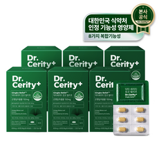 닥터세리티 징코빌리프 120정 은행잎추출물 혈행 식물성코팅, 60정, 6개