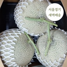 수플린메론