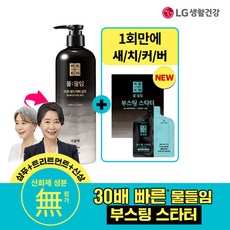 리엔 (자연갈색/흑갈색 택1) 물들임 샴푸 450ml X 1개+ 부스팅스타터 1개 증정, 자연갈색