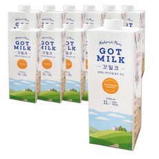 유럽산 프리미엄 갓밀크 멸균우유 1000ml 12개, 갓밀크1000ml 12개