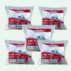 팔라에이백