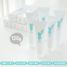 클로즈업 갓 프레쉬 스피아민트 향 치약, 120g, 5개