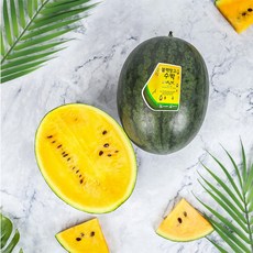 노란수박