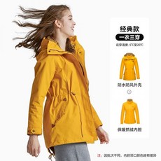 더엣지구스다운