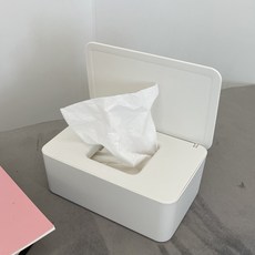 라이프박스 이중캡 티슈 물티슈 케이스 보관 정리 보관함 중형 대형, 1개