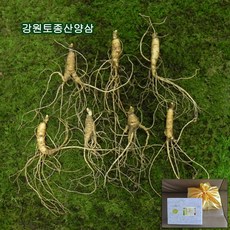 전인구7년안에