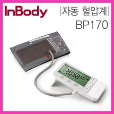 혈압관리 커프형 휴대용 혈압계 가정용 전자식 혈압측정기 자동측정, BP170, 1개