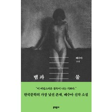 배수아