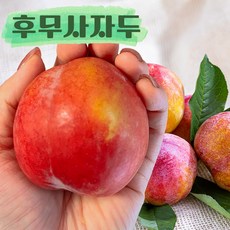 [김천인증농장] 오라밀 프리미엄 꿀 왕 햇 자두 당일수확, 프리미엄과, 1박스, 2kg