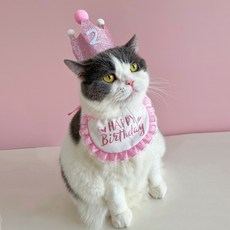 강아지 고양이 크라운 생일파티 모자+스카프+숫자스티커, 핑크, 1개 - 강아지생일파티