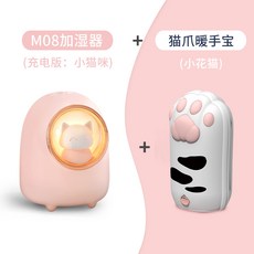 귀여운 미니 무드가습기 더블미스트 차량용, 옵션10 충전형