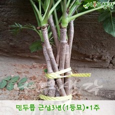 5ac0542513c3025507ca5797ede1bcf4ed27cba70d9c13c1542f9fa2c8ae.jpg