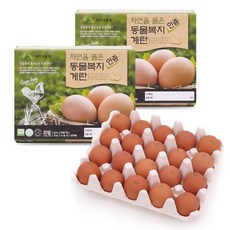 한스팜 자연을 품은 동물복지 인증 계란 20개입 x 2, 단일상품