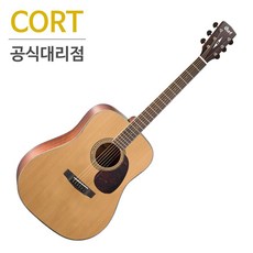 콜트 Earth100 무광 유광/ 탑솔리드 통기타 포크기타