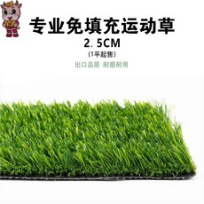 족구장인조잔디