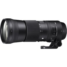 SIGMA 150-600mm F5-6.3 DG OS HSM Contemporary C015 Nikon F-FX 마운트 Full-SizeLarge-Formatm, 시그마(Sigma)