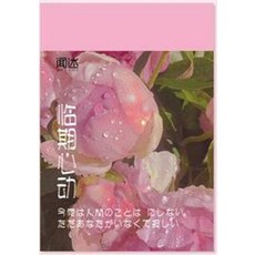 뉴아트엠프