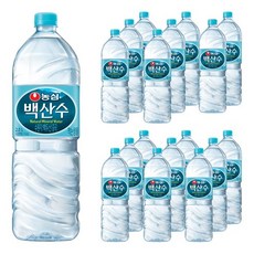 백산수2l