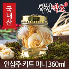 착한약초 금산 인삼 50종 수삼 삼계용 인삼주키트 선물세트, 1개, 1ICB_인삼주 키트 미니 360ml