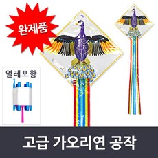 포켓몬연날리기