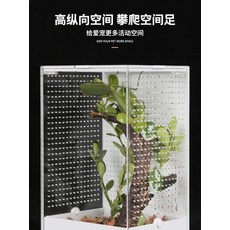ff303e48615ccef34da9ae5ad8a892025e864998d8902dccb0f507fbb334.jpg