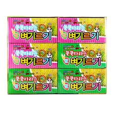 MDF6350 쑥쑥 자라는 벼기르기(2000원X12개) 볍씨/벼/자연학습/관찰학습