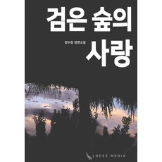 금의지하소설