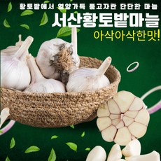 아삭아삭 단단한 서산황토밭 대서마늘, 1박스, 10kg 특