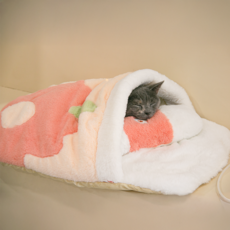 KkoKkoPaw 고양이 침낭 이불 베개 세트 강아지 이불배게세트 Pet sleeping set, 핑크색, 1세트