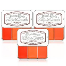 스킨푸드립앤치크