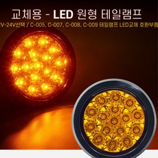 후진등합법