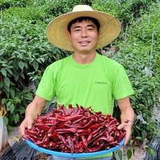 영양 건고추 5근 3kg 꼭지제거 세척완료 국산 청양/다복, 영양건고추 두물(5근.꼭지X), 1개