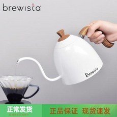 브루이스타인덕션