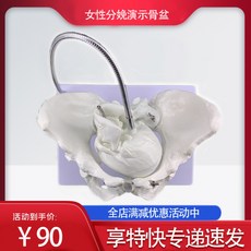 e88339876abe906933cd81d79278b0e7daff23e704073cc87e669575368d.jpg
