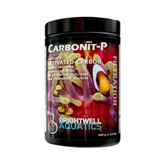 브라이트웰(Brightwell) 카보닛-P (활성탄) 500g, 1개