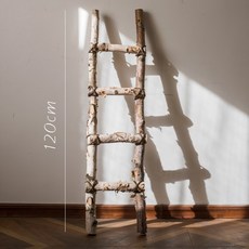 부산프리저브드플라워자격증
