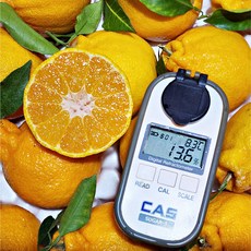 설 명절 설물세트 고당도특수농법 제주 한라봉, 1박스, 5Kg