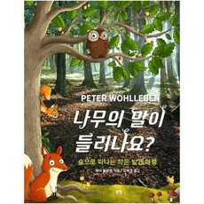 나무의 말이 들리나요 숲 - 페터 볼레벤, 단품, 단품