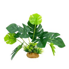 SmoothedoPets 수족관 식물 어항 장식 15.2cm6인치 금붕어 수경 베타 물고기 가죽/휴식열대우림 잎몬스테라, 1개