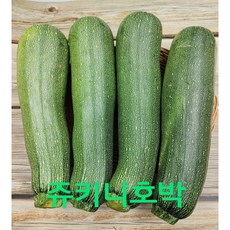 쥬키니10kg