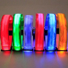본사직영 LED 야광 목줄 플렉시 목걸이 시바견 반려동물 끈 추천, 색상랜덤(별도문의)