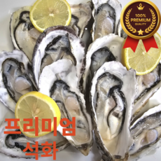 아보하장터 프리미엄 산지직송 여수 석화, 1박스, 5kg