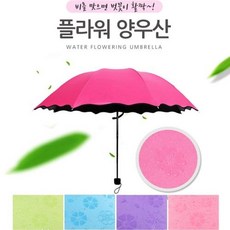 엄마양산