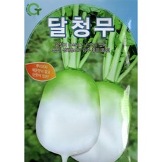 달단무
