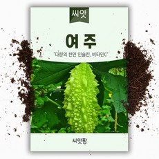 여주 씨앗(10립), 1개