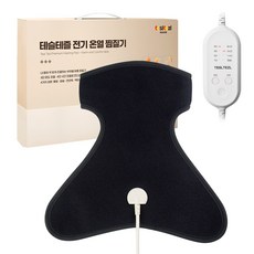 1. 테슬테즐 전기 ..