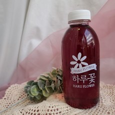 하루꽃 국내산 장미꽃청, 1병, 500ml