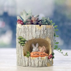 오누즈어린이화분