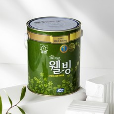젯소없이페인트